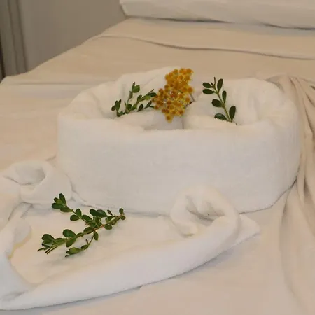 Dream Pool- Garage *